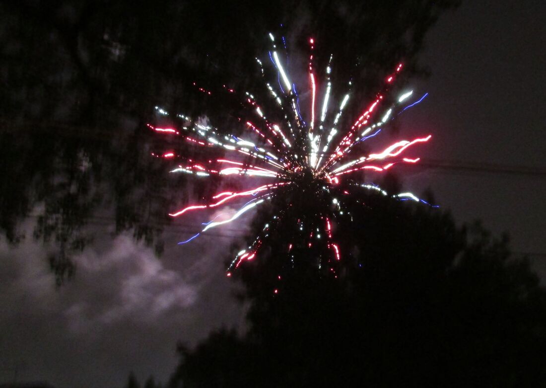 Neighborhood Fireworks 