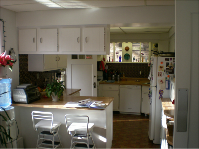 Kitchen Before Photo