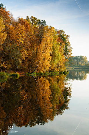 Autumn in Vilnius by Ricardas Oginskas